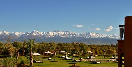 a group of umbrellas in a field with mountains at Riad Al Mendili Private Resort & Spa in Had Abdallah Rhiat