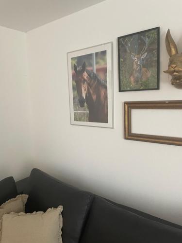 two pictures of animals on a wall above a couch at Luises Ferienglück in Vernawahlshausen