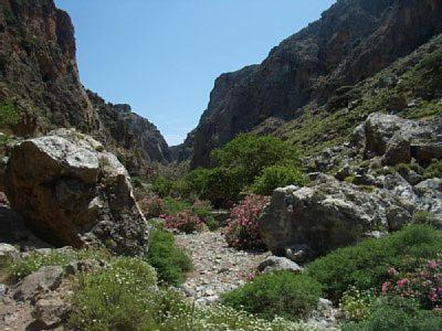 a rocky path in a mountain with rocks and plants at Coral Front Beach in Káto Zákros