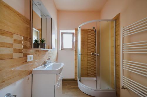 a bathroom with a shower and a sink at Hera's Garden in Arad