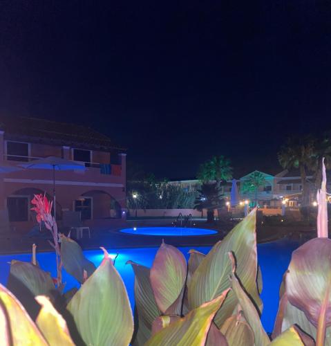 a view of a swimming pool at night at Perland Vacation in Sidari