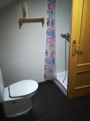 La salle de bains est pourvue de toilettes et d'un rideau de douche. dans l'établissement Habitación grande, à Rasines