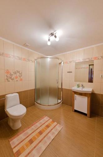 a bathroom with a shower and a toilet and a sink at Agroturystyka Nad Tanwią in Budziarze