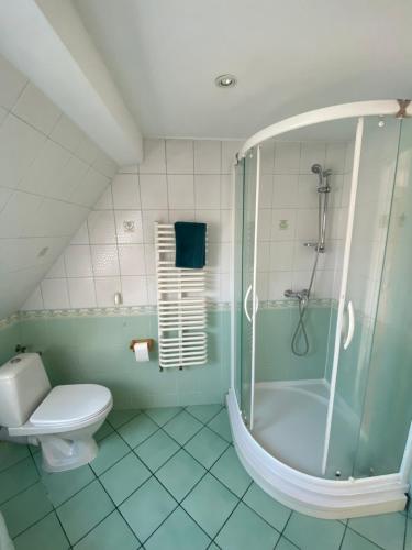 W łazience znajduje się toaleta i przeszklony prysznic. w obiekcie Dom Na Zachodzie w Szczecinku