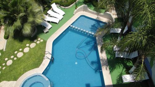 an overhead view of a swimming pool with palm trees at Hotel Cuellar in Tula de Allende