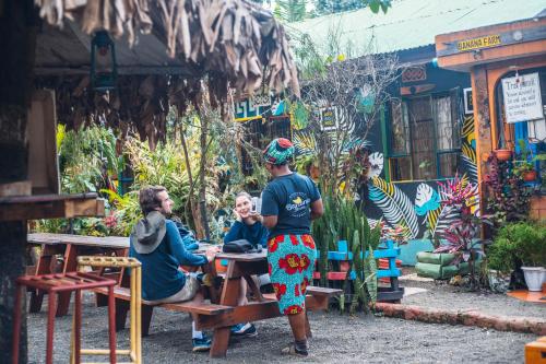 Banana Farm Eco Hostelの宿泊客
