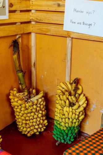ホステルの敷地内または近くでの食事または食べ物