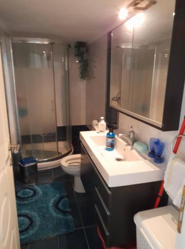 ein Bad mit einer Dusche, einem Waschbecken und einem WC in der Unterkunft Lititsia apartment in Thessaloniki