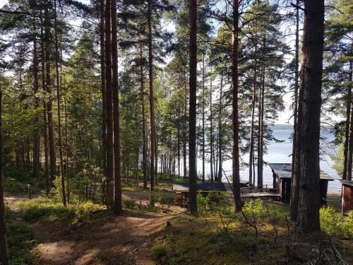 a cabin in the woods with a view of the water at Saunalautta Sisu in Imatra