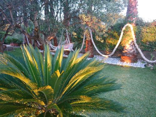 Giardino di B&B Villa del Sole