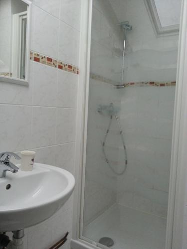 uma casa de banho com um chuveiro e um lavatório. em Appartement en location touristique pour 4 personnes em Docelles