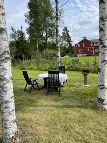 Ein Garten an der Unterkunft Slätterne Gård stugor