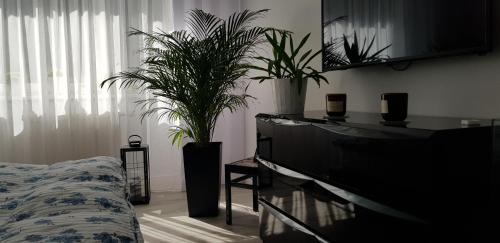 a bedroom with a bed and two potted plants at Apartament I Love Gdynia in Gdynia