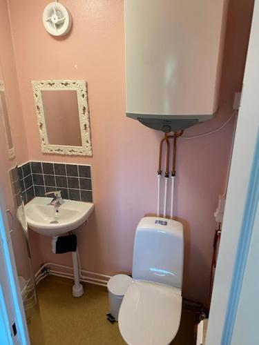 małą łazienkę z toaletą i umywalką w obiekcie Slätterne Gård stugor w mieście Sandviken