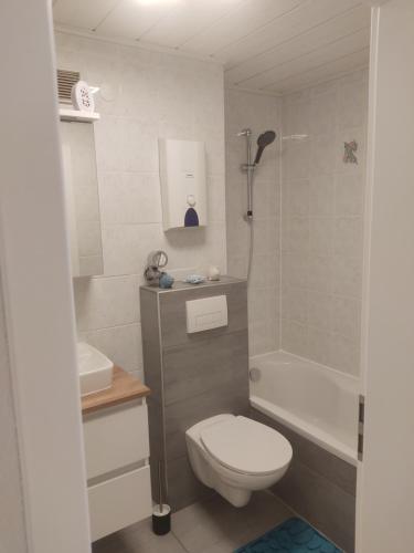 a bathroom with a toilet and a tub and a sink at Appartement Georg in Sankt Englmar