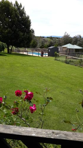 a group of pink roses sitting on a green field at Neerim Country Cottages in Neerim South