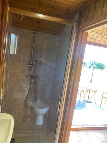 a bathroom with a shower with a toilet in it at Vale View Glamping in Ruthin