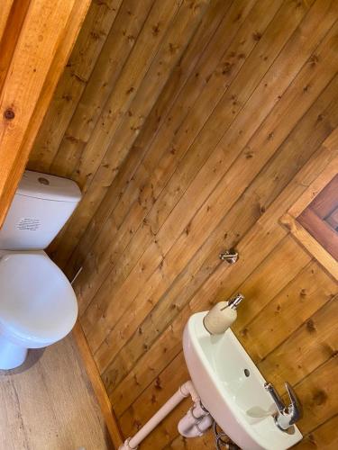 a bathroom with a toilet and a sink at Vale View Glamping in Ruthin