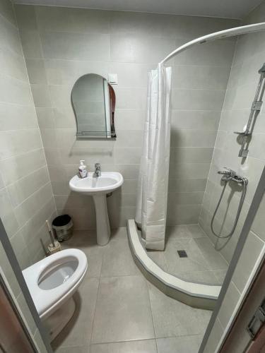 a bathroom with a sink and a shower and a toilet at Guest House Alazani Valley in Sighnaghi