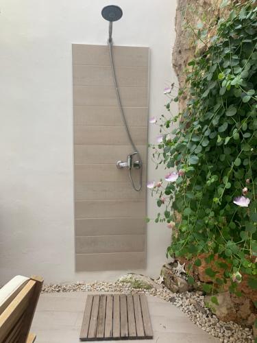 a shower in a bathroom next to a plant at La Vela in Castro di Lecce