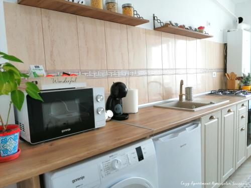 een keuken met een wasmachine en een magnetron bij Cozy Apartment Narciselor Suceava in Ipoteşti