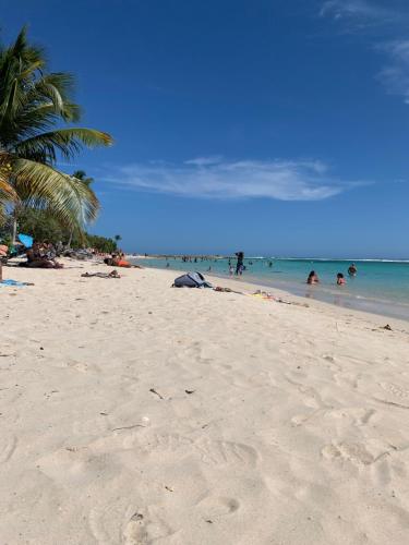 a beach with people in the water and a palm tree at Île tropical lodges in Sainte-Anne