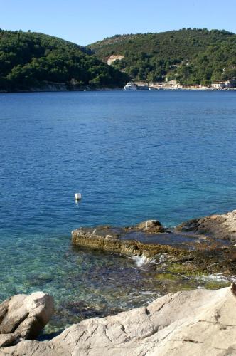 a view of a large body of water at Apartments by the sea Sumartin, Brac - 18749 in Sumartin
