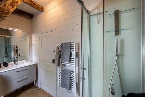 a bathroom with a shower and a glass door at Maison typique des monts du Cantal in Marmanhac
