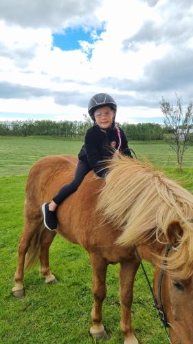 Ein junges Mädchen reitet auf dem Rücken eines Pferdes in der Unterkunft Efri-Gegnishólar in Selfoss