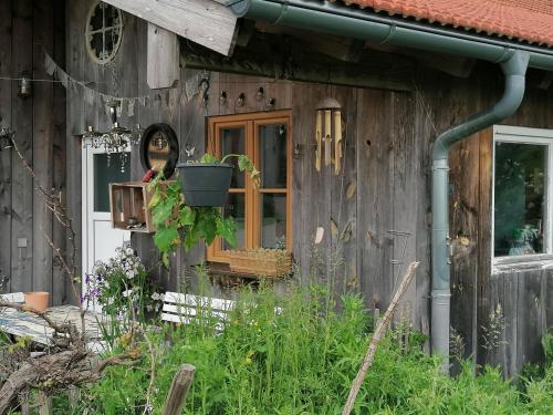 Κήπος έξω από το Naturhof Selbertinger