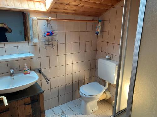 a bathroom with a toilet and a sink at Hüttenflair im Gut Sonnenwald in Schöllnach
