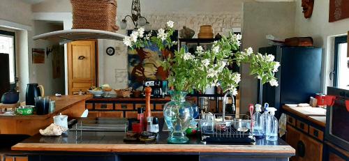 une cuisine avec un vase de fleurs sur un comptoir dans l'établissement Aux Tuileries Nord b&b, à Créon