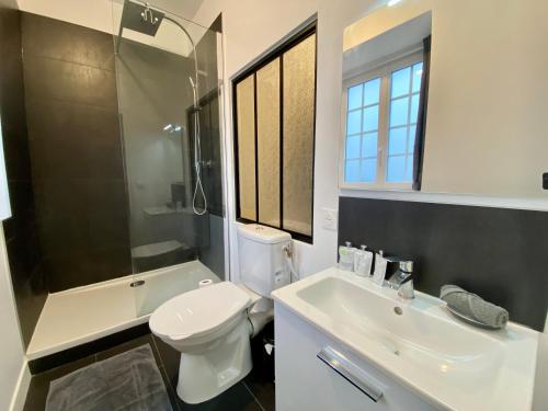 une salle de bain avec un lavabo, des toilettes et une douche dans l'établissement Henry I - petit appartement lumineux - 014, à Rouen