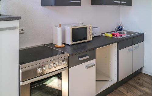 una piccola cucina con forno a microonde e lavandino di Lovely Apartment In Krakow Am See With Kitchen a Krakow am See