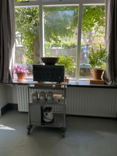 a kitchen cart with plants on a window sill at Tilias in Ellewoutsdijk