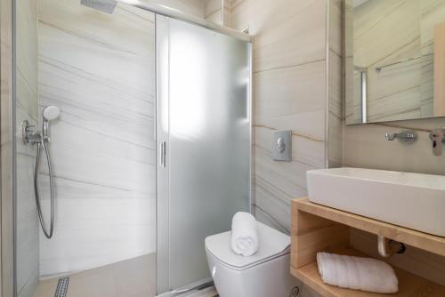 a bathroom with a shower and a toilet and a sink at Spartakos Luxury Villa 2 in Koukounariá