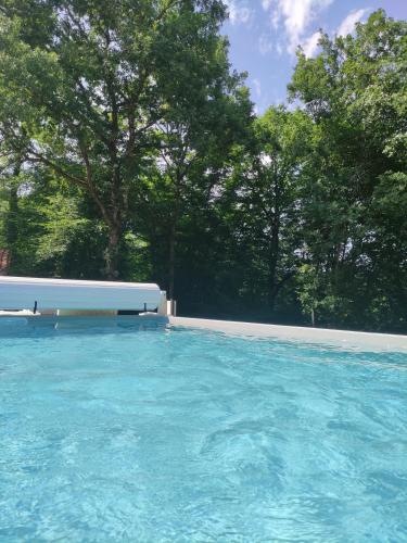 a large pool of blue water with trees in the background at Chez Pascaline in Sarliac-sur-lʼIsle