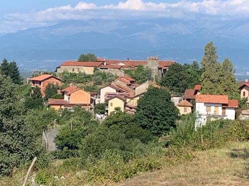 a group of houses on a hill with trees at Bouganville in Viverone