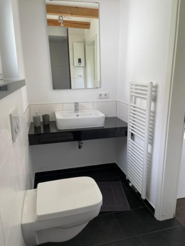 a bathroom with a white toilet and a sink at Apartment "Stine" in Erpen