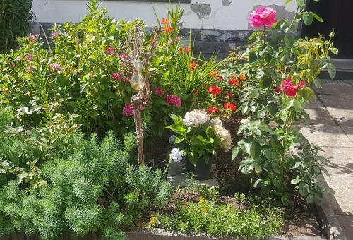 a garden with many different flowers and plants at Ferienwohnung MAI in Glauchau