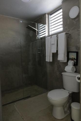 a bathroom with a shower and a toilet and a glass shower stall at Viento Beach Lodge in Dorado