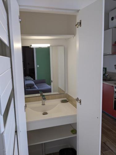 une salle de bain avec un lavabo et un miroir dans l'établissement Trocadéro- 2 pièces lumineux, à Paris