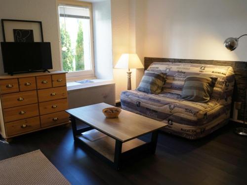 Appartement cosy au centre de Chamonix avec jardin, 2 pièces, bien équipé, accepte animaux