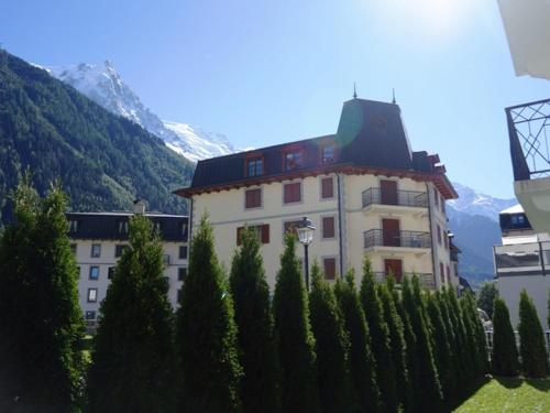 Appartement cosy au centre de Chamonix avec jardin, 2 pièces, bien équipé, accepte animaux