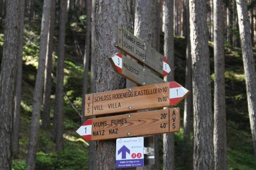 a group of signs on a tree in a forest at Hotel Waldheim in Naz-Sciaves