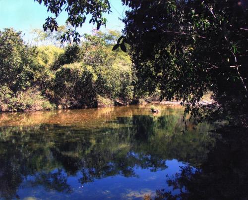 a river with a person swimming in the water at Sítio Aroeira Estúdios in Alto Paraíso de Goiás
