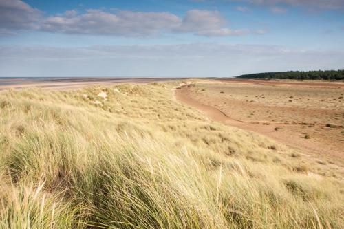 a sandy beach with tall grass in the foreground at The Oaks Tent Pitches with no accommodation supplied and you must bring your own tent in Colkirk