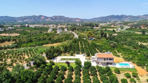 una vista aérea de un viñedo con una casa y árboles en Villa Florentina ✩ Private Pool ✩ BBQ ✩ 7 Guests, en Alikianós