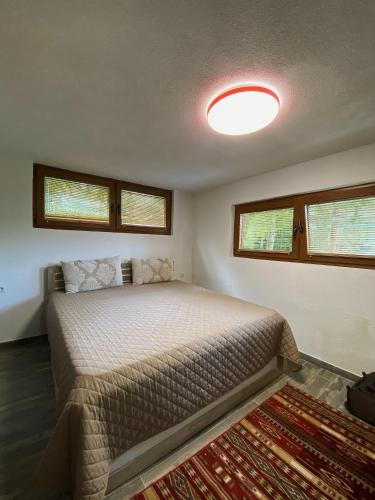 a bedroom with a bed in a room with a rug at Brezovica Luxury Villa in Brezovica