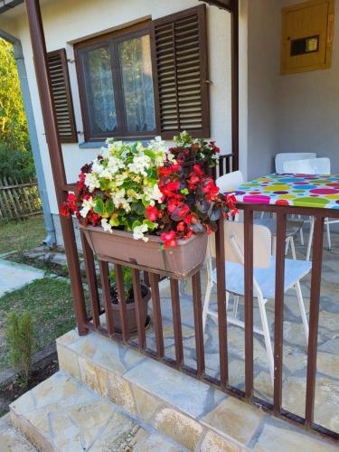 a table with a pot of flowers on a porch at Venera in Kosjerić